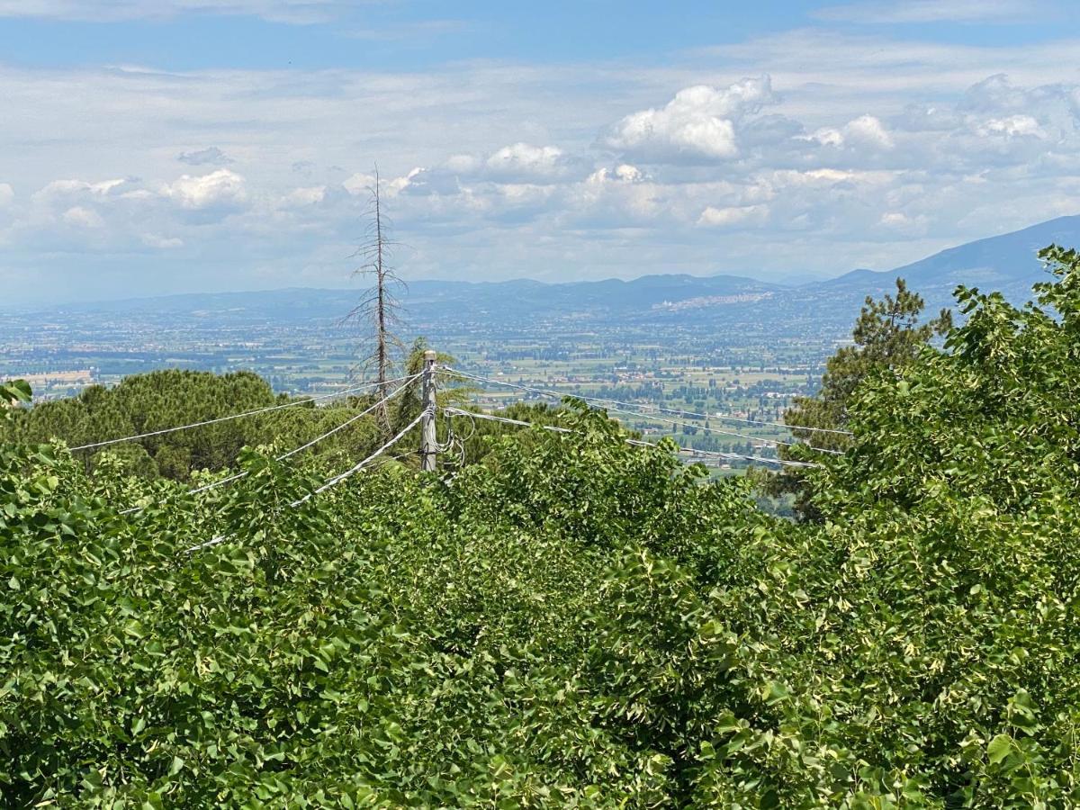 App. Con Terrazza Panoramica In Centro-Montefalco Eksteriør bilde
